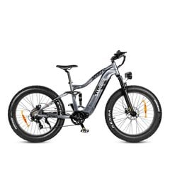 Электровелосипед SAMEBIKE RS-A08 Mid-Drive, 26", серый, 750Вт, 17Ач Samsung цена и информация | Электровелосипеды | 220.lv