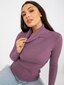 Džemperis sievietēm, violets cena un informācija | Sieviešu džemperi | 220.lv