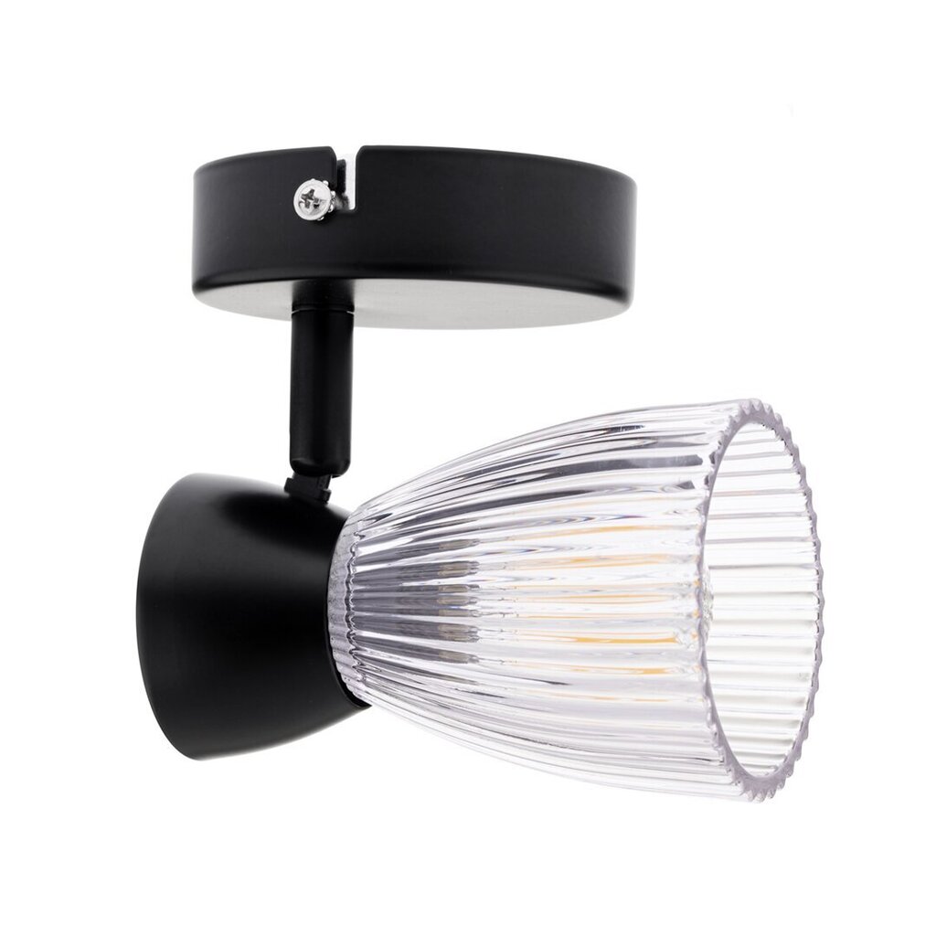 Milagro griestu lampa Best ML9970 cena un informācija | Griestu lampas | 220.lv