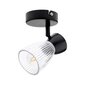 Milagro griestu lampa Best ML9970 cena un informācija | Griestu lampas | 220.lv