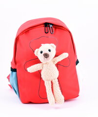 Рюкзак для девочек SV & Ko цена и информация | Школьные рюкзаки, спортивные сумки | 220.lv