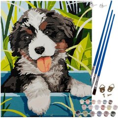 Набор для рисования по номерам Собака, 40 х 30см цена и информация | Живопись по номерам | 220.lv