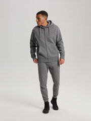 мужские спортивные штаны dkr dsrt j1 p1343 - серый меланж цена и информация | Мужская спортивная одежда | 220.lv
