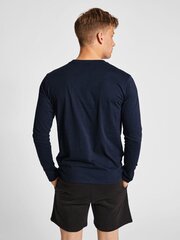 T-krekls vīriešiem Hummel Red Basic, zils cena un informācija | Sporta apģērbs vīriešiem | 220.lv