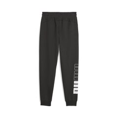 Штаны PUMA POWER Sweatpants FL cl цена и информация | Мужская спортивная одежда | 220.lv