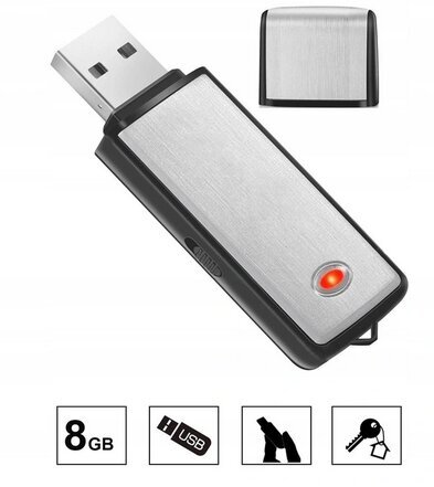 Mini ierakstītājs, pendrive, noklausīšanās, spiegs Usb X09 cena un informācija | Diktofoni | 220.lv