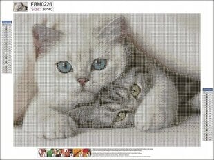 Dimantu mozaīka ar mīļiem kaķēniem, 30x40 cm cena un informācija | Dimantu mozaīkas | 220.lv