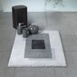 Vannas istabas paklājs Anela 60 x 90 cm, Spirella cena un informācija | Vannas istabas aksesuāri | 220.lv