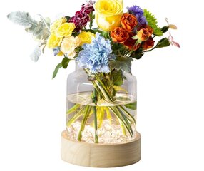 Стеклянная ваза со светодиодной подсветкой и таймером цена и информация | Вазы | 220.lv