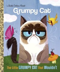 Little Grumpy Cat that Wouldn't (Grumpy Cat) цена и информация | Книги для малышей | 220.lv