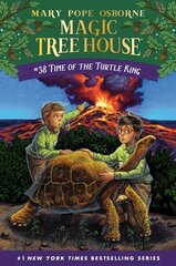 Time of the Turtle King cena un informācija | Grāmatas pusaudžiem un jauniešiem | 220.lv