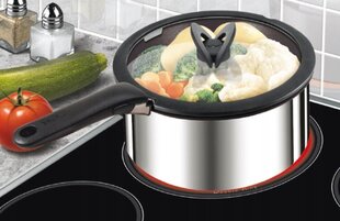 Tefal Katlu un pannas vāku komplekts Ingenio L9849053, 16/18/20/24/26/28 cm, 6 gab. цена и информация | Кастрюли, скороварки | 220.lv