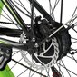 Elektriskais velosipēds Philodo H7 26", zaļš cena un informācija | Elektrovelosipēdi | 220.lv