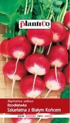 Редис красный PlantiCo, 10 г цена и информация | Семена овощей, ягод | 220.lv