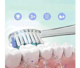 Зубная щетка Seago SG-977 цена и информация | Электрические зубные щетки | 220.lv