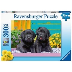 Ravensburger puzle, 300 gab. cena un informācija | Puzles, 3D puzles | 220.lv