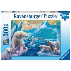 Пазл Ravensburger, 300 деталей, Белый медведь цена и информация | Пазлы | 220.lv