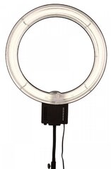 BIG Helios кольцевой осветитель 430 Ring (427860) цена и информация | Осветительное оборудование для фотосъемок | 220.lv