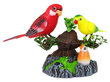 Dziedošie papagaiļi Lean Toys cena un informācija | Attīstošās rotaļlietas | 220.lv