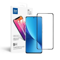 Blue Star Xiaomi 12/12X cena un informācija | Ekrāna aizsargstikli | 220.lv
