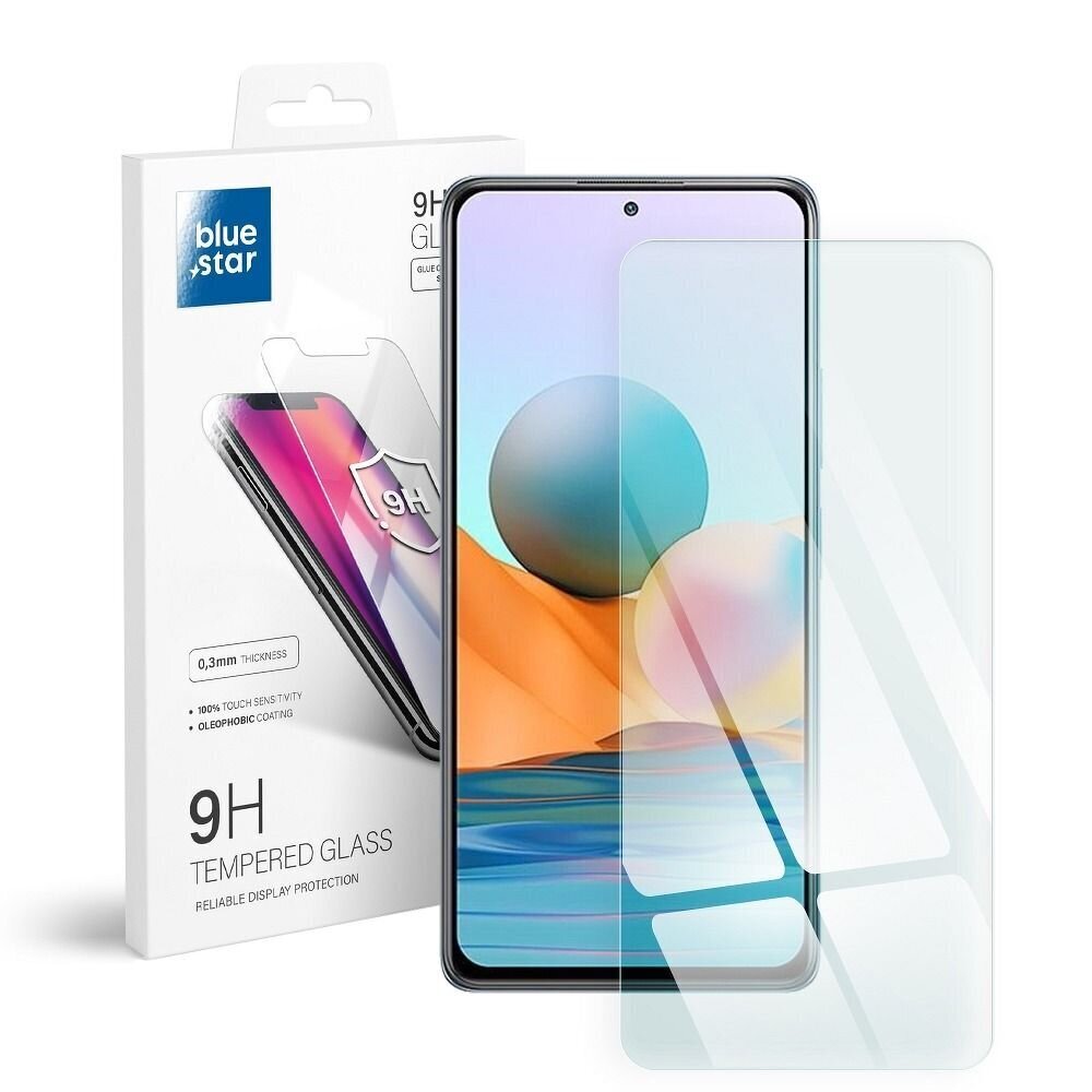 Blue Star Xiaomi Redmi Note 10 Pro cena un informācija | Ekrāna aizsargstikli | 220.lv