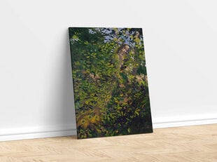 Reprodukcija Pāvs džungļos(1907) (Abbott Handerson Thayer), 80x65 cm cena un informācija | Gleznas | 220.lv