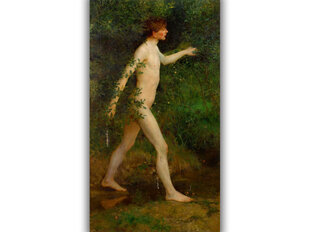 Reprodukcija Vīrietis peldas mežā cena un informācija | Gleznas | 220.lv