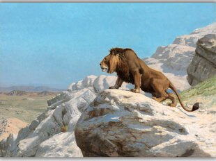 Reprodukcija Lauva izlūkošanā cena un informācija | Gleznas | 220.lv
