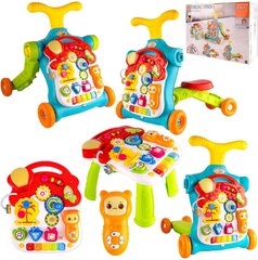 Izglītojošā stumjamā rotaļlieta 5in1 MalPlay cena un informācija | Rotaļlietas zīdaiņiem | 220.lv