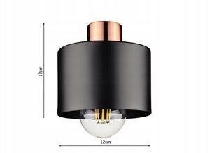 Подвесной светильник Led-lux LX-1100 цена и информация | Настенный/подвесной светильник Eye Spot 11 BL, чёрный | 220.lv