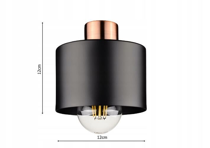 Pakabināmais gaismeklis Led-lux LX-1100 cena un informācija | Piekaramās lampas | 220.lv