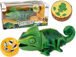 Tālvadības pults hameleons Lean Toys, 28 cm cena un informācija | Rotaļlietas zēniem | 220.lv