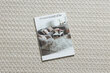 Rugsx paklājs Origi 3561, 233x330 cm cena un informācija | Paklāji | 220.lv