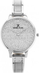 часы daniel klein 12205-2 (zl500c) + коробка цена и информация | Женские часы | 220.lv
