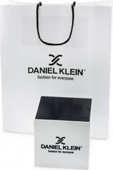 часы daniel klein 12205-2 (zl500c) + коробка цена и информация | Женские часы | 220.lv