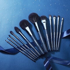 Eigshow Beauty ZODIAC series 12-piece professional makeup brush set цена и информация | Кисти для макияжа, спонжи | 220.lv