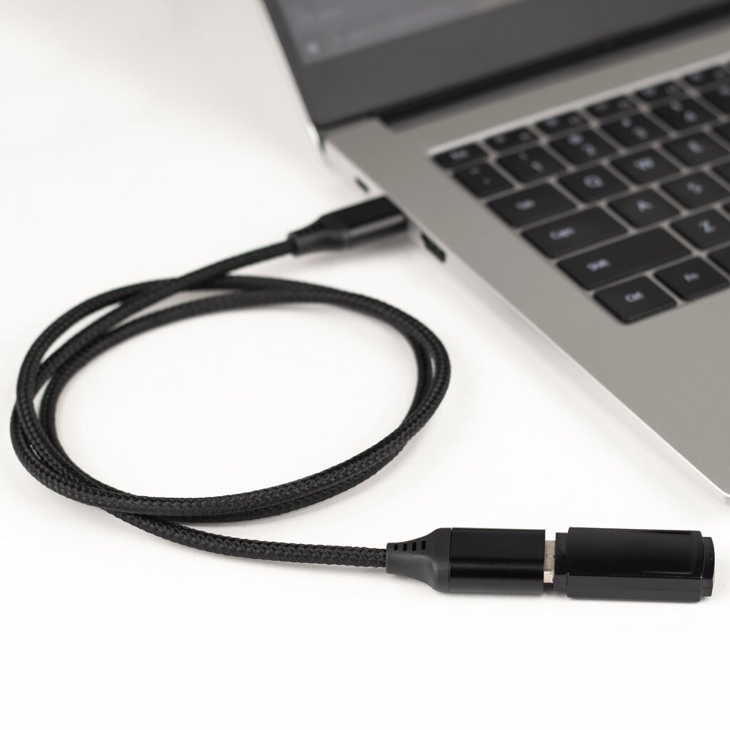 Reagle RPA100P цена и информация | Adapteri un USB centrmezgli | 220.lv