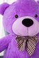 Plīša lācis 160 cm, violets цена и информация | Mīkstās (plīša) rotaļlietas | 220.lv