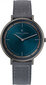 Vīriešu pulkstenis Pierre Cardin CBV-1034 cena un informācija | Vīriešu pulksteņi | 220.lv