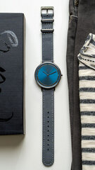 Мужские часы Pierre Cardin CBV-1034 цена и информация | Мужские часы | 220.lv