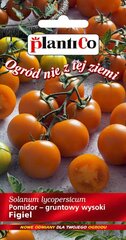 Tomāti oranžie Figiel PlantiCo cena un informācija | Dārzeņu, ogu sēklas | 220.lv