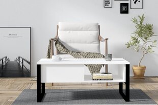 Kafijas galdiņš, Asir, 100x60x44 cm, balts cena un informācija | Žurnālgaldiņi | 220.lv