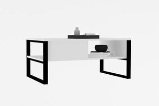 Кофейный столик Asir, 100x60x44 см, белый цена и информация | Журнальные столики | 220.lv