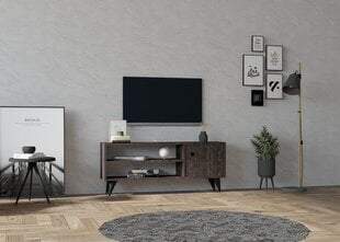 TV vienība, Asir, 120x50x29 cm, pelēks cena un informācija | TV galdiņi | 220.lv