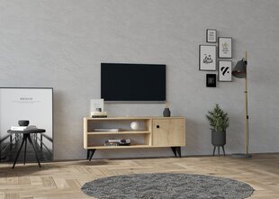 TV vienība, Asir, 120x50x29 cm, brūns cena un informācija | TV galdiņi | 220.lv