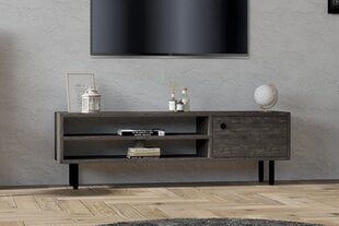 TV skapis, Asir, 120x38x30 cm, pelēks cena un informācija | TV galdiņi | 220.lv