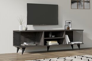 TV galdiņš Asir, 160x48,6x40 cm, pelēks cena un informācija | TV galdiņi | 220.lv