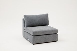 1-vietīgs atpūtas krēsls Asir, pelēks цена и информация | Кресла в гостиную | 220.lv