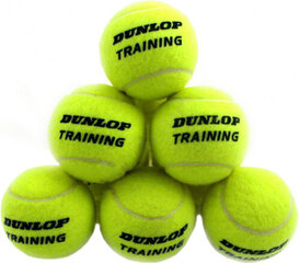 Уличные теннисные мячи TRAINING 60-bucket цена и информация | Товары для большого тенниса | 220.lv