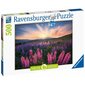 Puzle Ravensburger, 500 gab. цена и информация | Puzles, 3D puzles | 220.lv